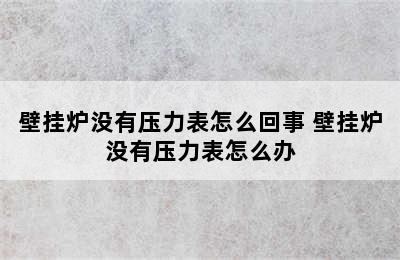 壁挂炉没有压力表怎么回事 壁挂炉没有压力表怎么办